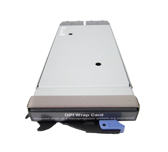 00D0561 - IBM QPI Wrap Card for x3950 / x3850 X5 System