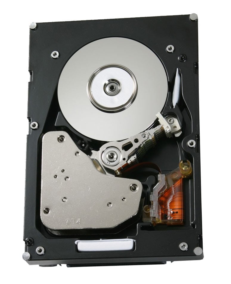 0B23316 - HGST 300 GB Internal Hard Drive - Fibre Channel - 15000 rpm - Hot Swappable