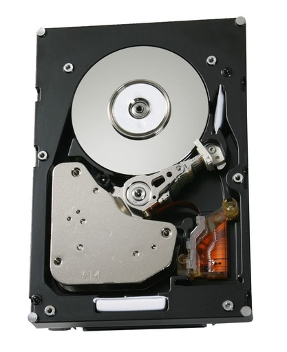 [0B23316] 0B23316 - HGST 300 GB Internal Hard Drive - Fibre Channel - 15000 rpm - Hot Swappable