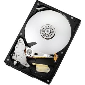 [0F10772] 0F10772 - HGST CinemaStar 7K1000.C HCS721025CLA382 250 GB 3.5 Internal Hard Drive - SATA/300 - 7200 rpm - 8 MB Buffer - Hot Swappable