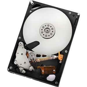 [0F11000-20PK] 0F11000-20PK - HGST Ultrastar A7K2000 HUA722050CLA330 500 GB 3.5 Internal Hard Drive - 20 Pack - SATA/300 - 7200 rpm - 32 MB Buffer - Hot Pluggable